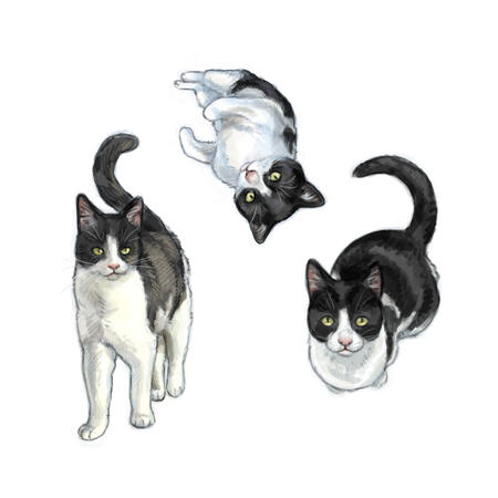 1736 x 1736px canvas with 3 coloured sketches. Priced at $30 USD